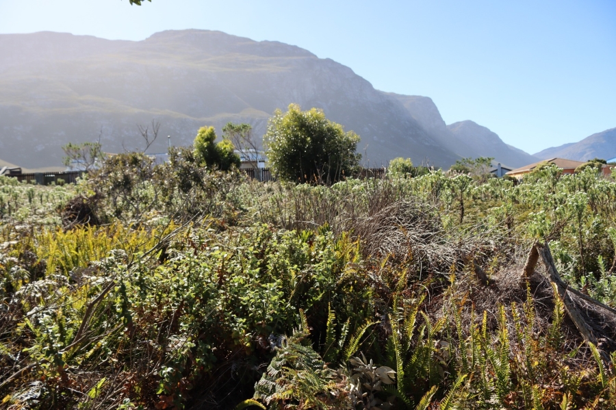 0 Bedroom Property for Sale in Bettys Bay Western Cape